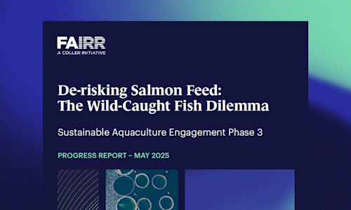 Sustainable Aquaculture Phase 3 Progress Report Banner with Theme