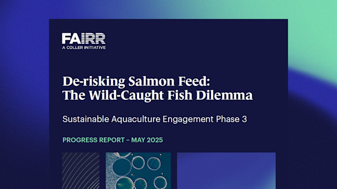 Sustainable Aquaculture Phase 3 Progress Report Banner with Theme