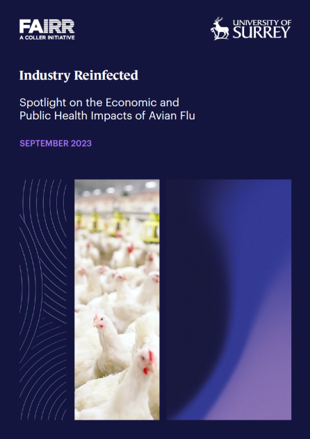 Industry Reinfected Avian Flu Thumbnail