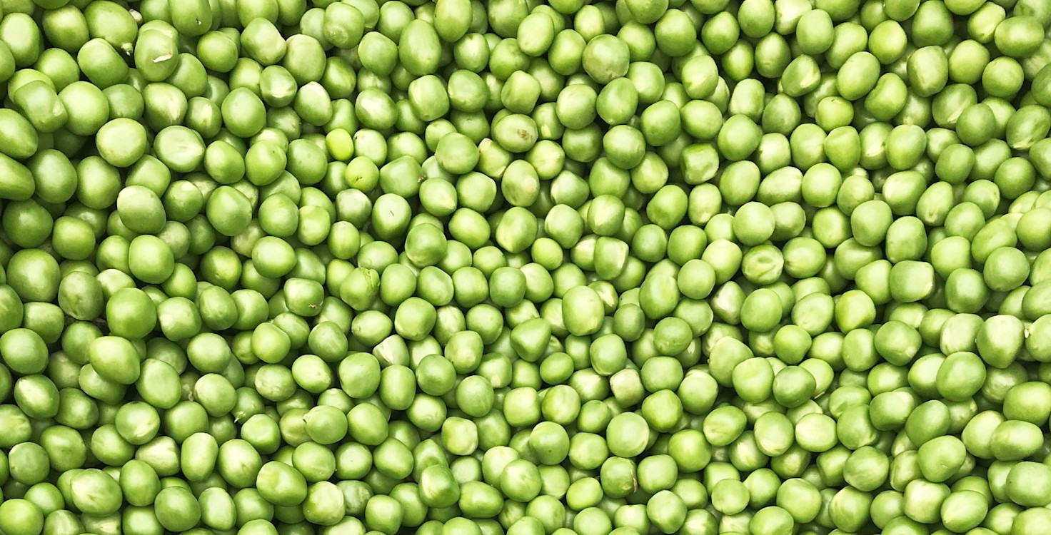 Pulses-4-e1594399576616.jpg