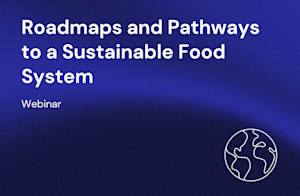 Policy Webinar thumbnail