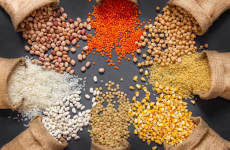 Grains