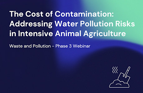 W&P Phase 3 Webinar Recording Thumbnail