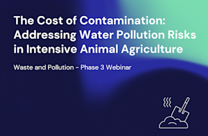 W&P Phase 3 Webinar Recording Thumbnail