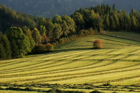 iStock-139672660
