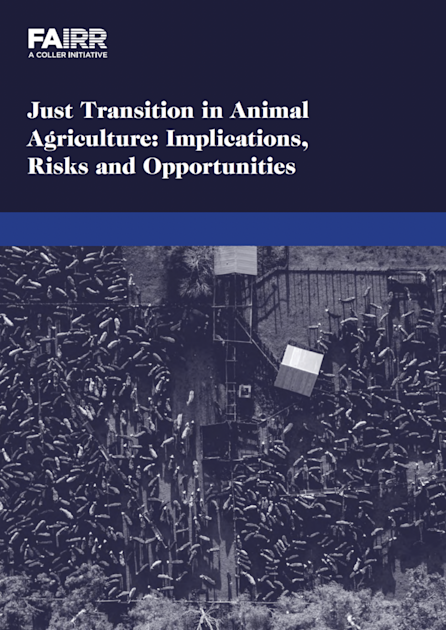 Just Transition in Animal Agriculture | FAIRR