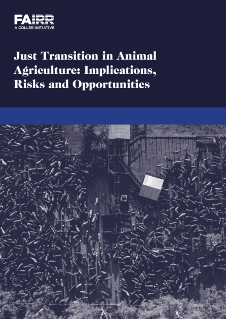 Just Transition in Animal Agriculture Report