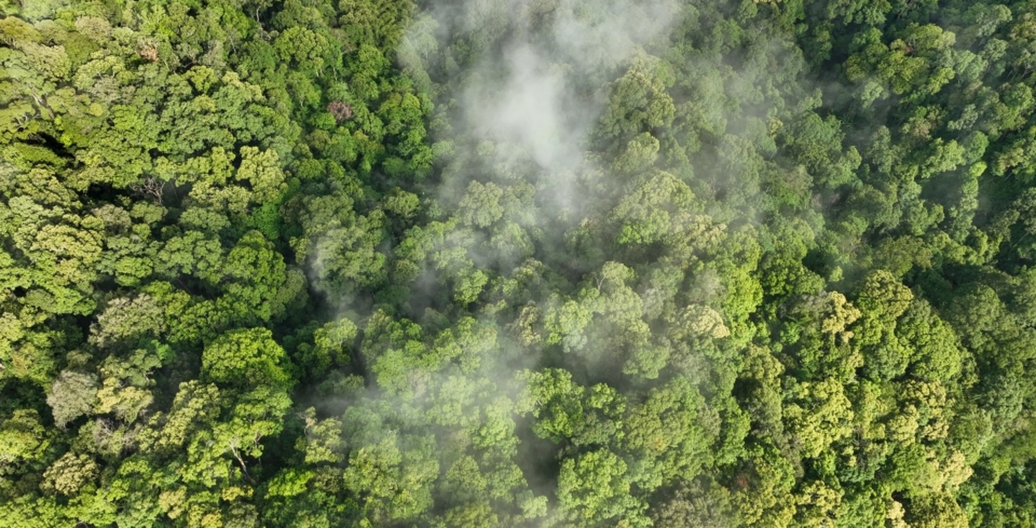 shutterstock 2350372395