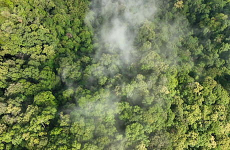 shutterstock 2350372395