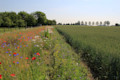 farm