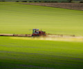 shutterstock_1610438524-2048x1365.jpg