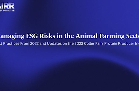 esg risks 2022