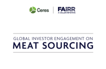 Meat-sourcing Report