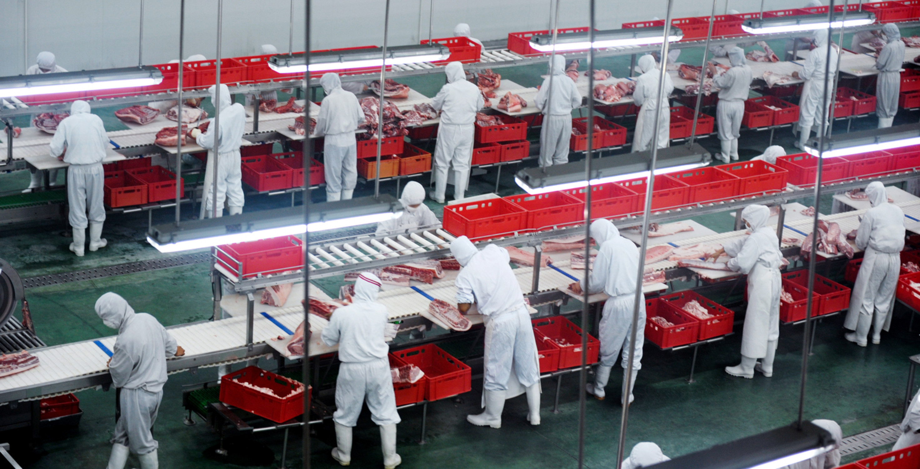 Labour Risk in Meatpacking is on the Rise: 3 Key Findings | FAIRR