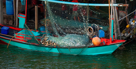 Fishing