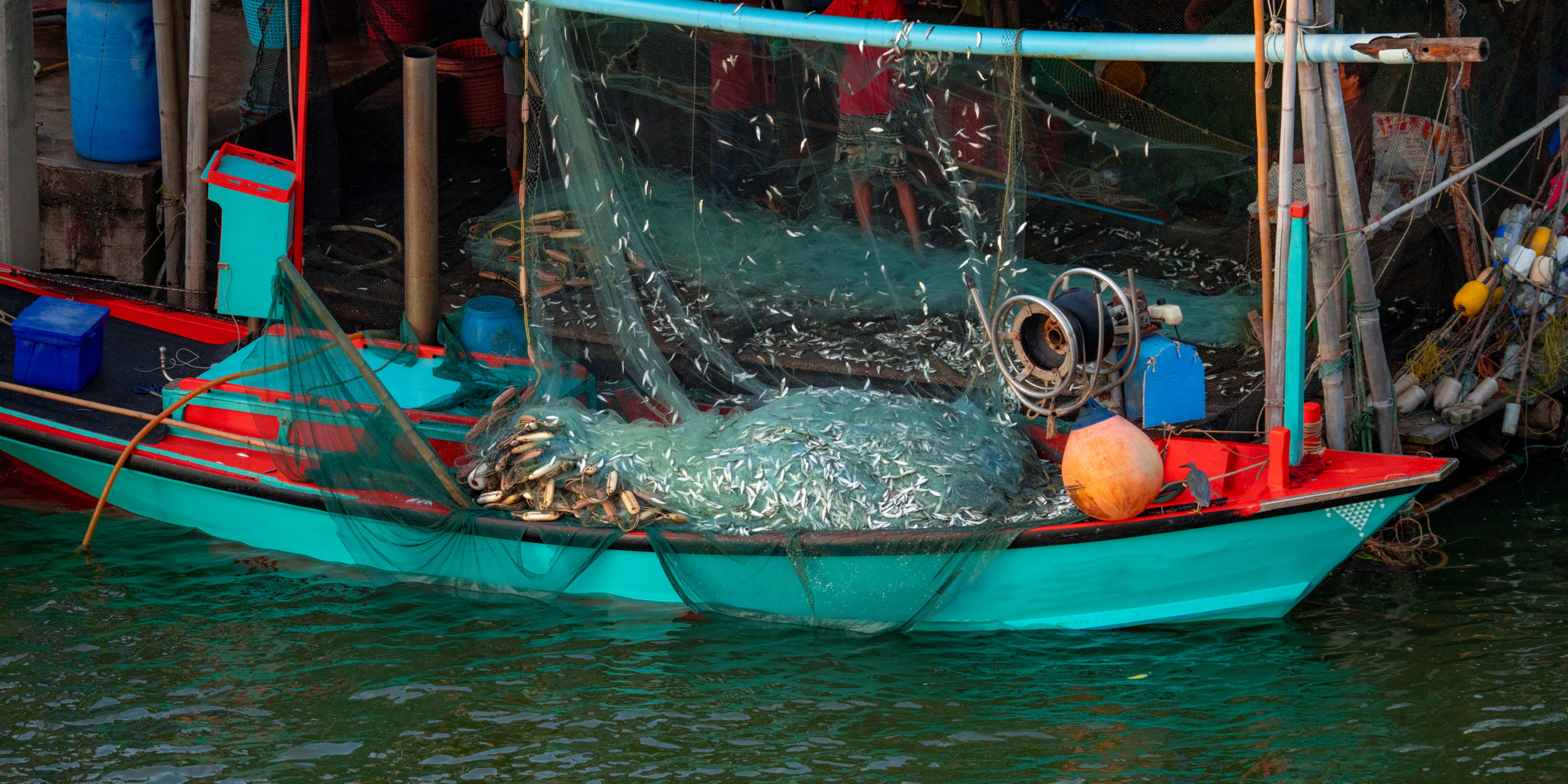 Fishing