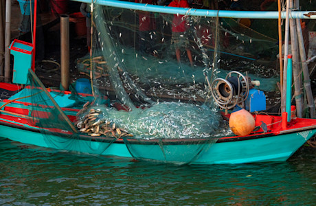 Fishing