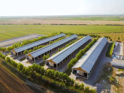 Aerial view of farm