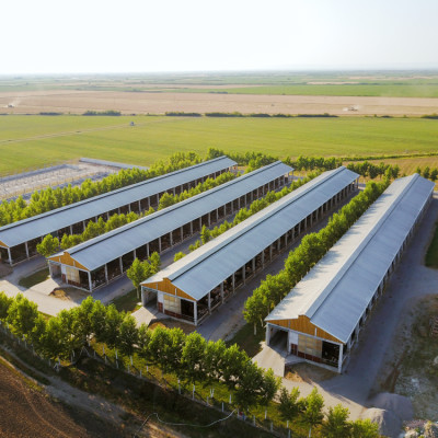 Aerial view of farm