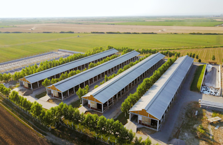Aerial view of farm