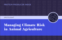 Spotlight-Climate-Risk-Report