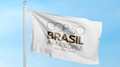 COP30 flag