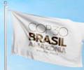 COP30 flag