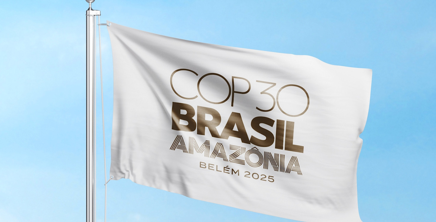 COP30 flag