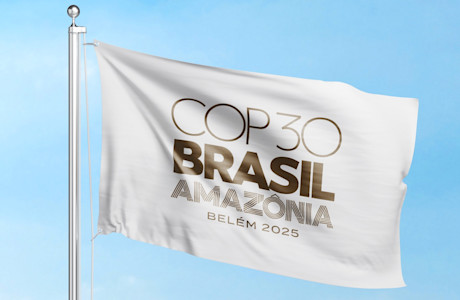 COP30 flag