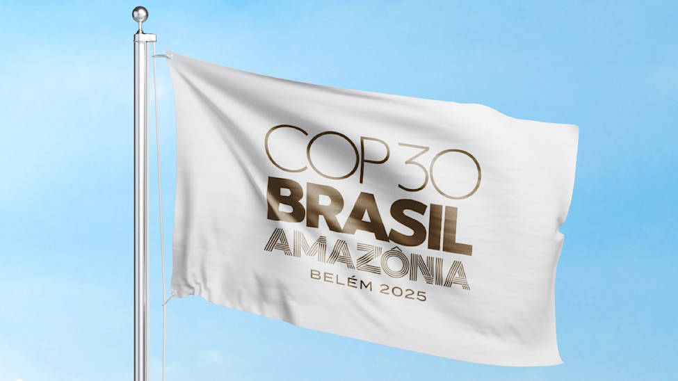 COP30 flag