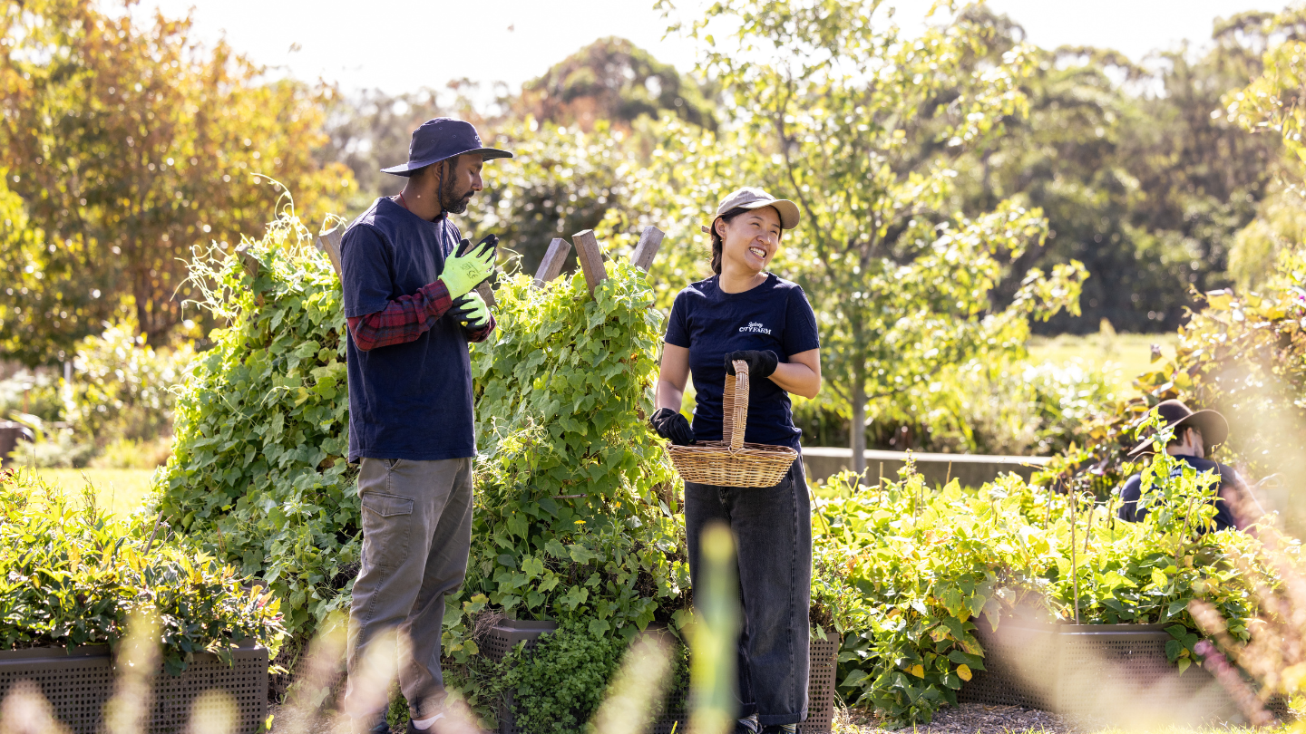 Volunteers in the herb garden at Sydney City Farm: Photo: Chris Southwood/City of Sydney