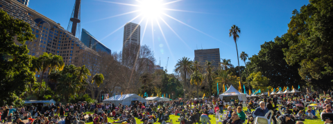 NAIDOC in the City