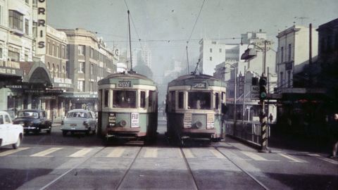 Trams at Palmer Street pedestrian crossing, William Street, Darlinghurst, 1960 (City of Sydney Archives)