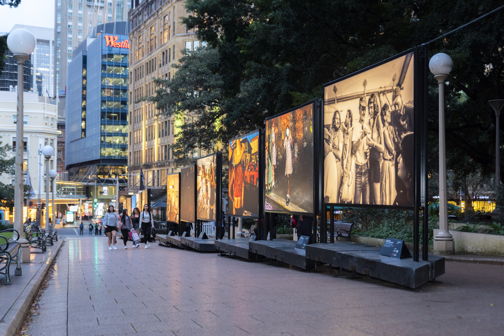 The Australian Life exhibition is now on display in Hyde Park