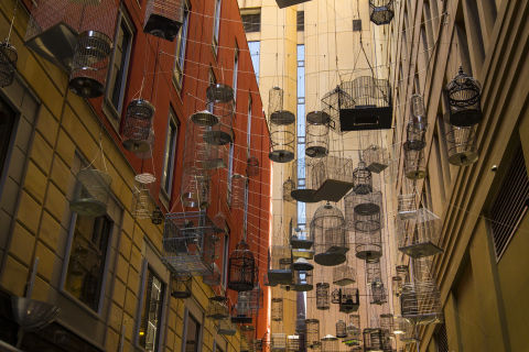 Discover hidden gems, such as Forgotten Songs in Angel Place.