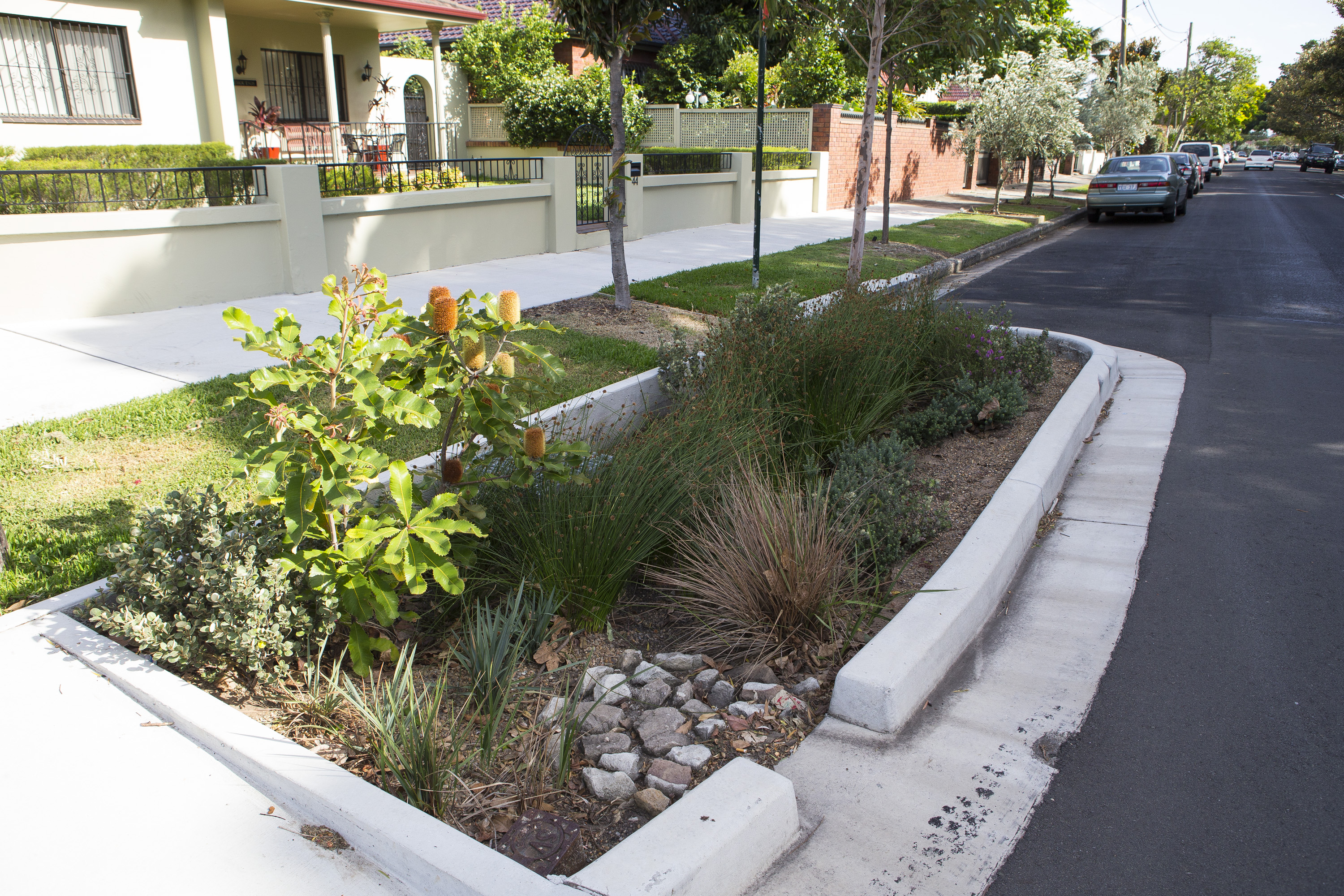 Rosebery is home to this raingarden.