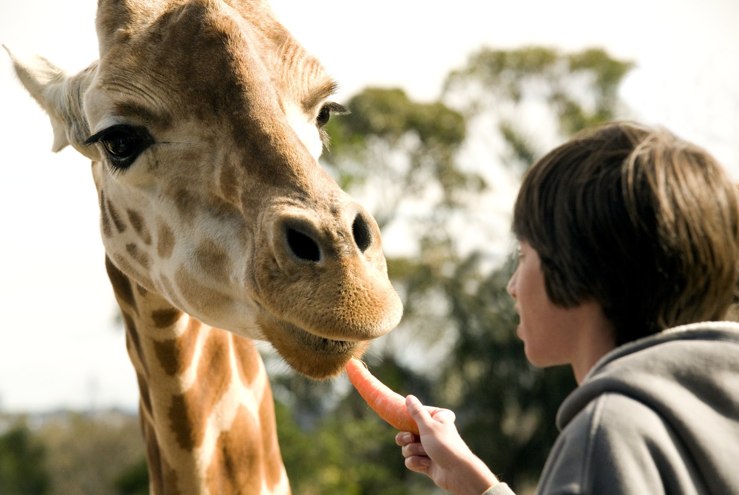 Taronga Zoo