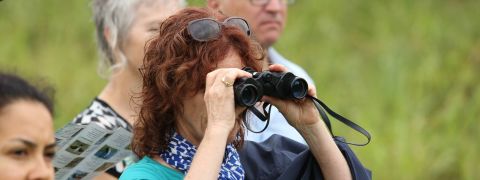 Aussie Bird Count