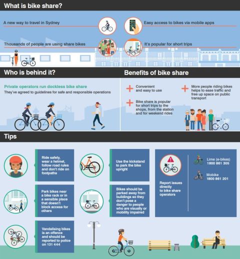 Bike share infographic