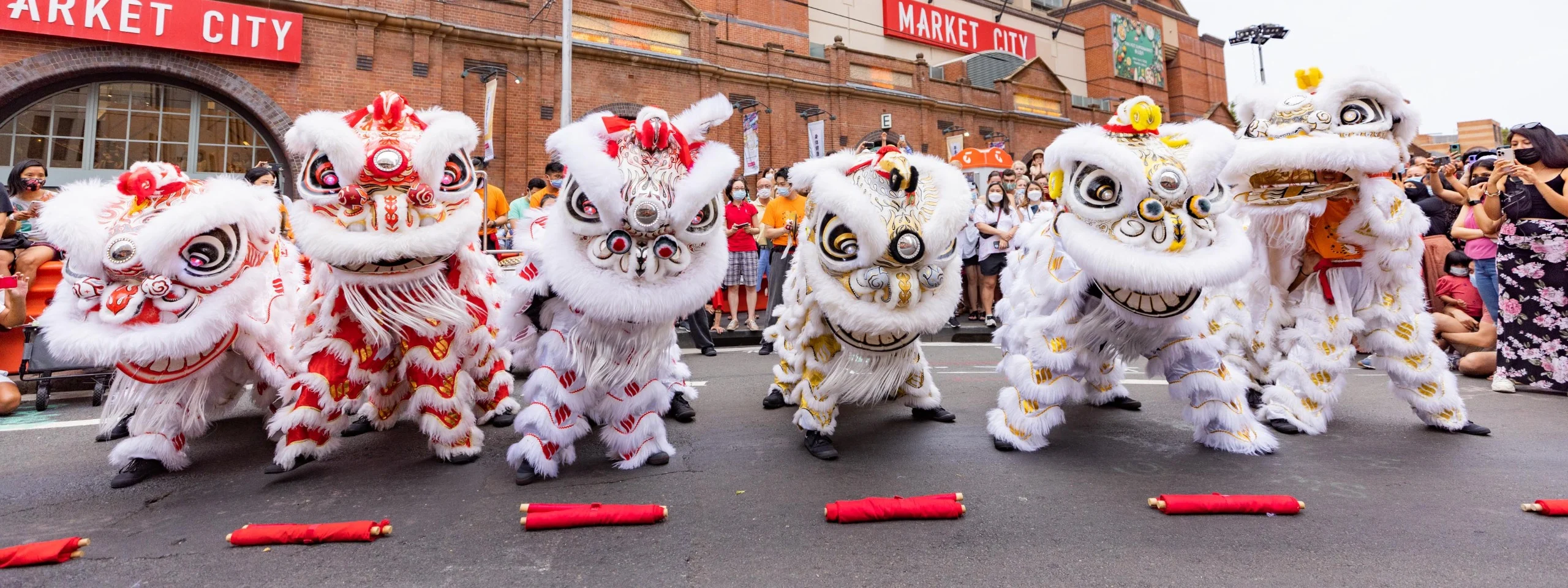 Lion dancing and cultural performances 