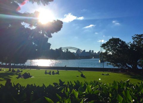 Pack a picnic and head to Royal Botanic Gardens. Pic: @tessa_fontaine via Instagram