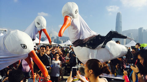 Seagulls descend on Sydney Festival