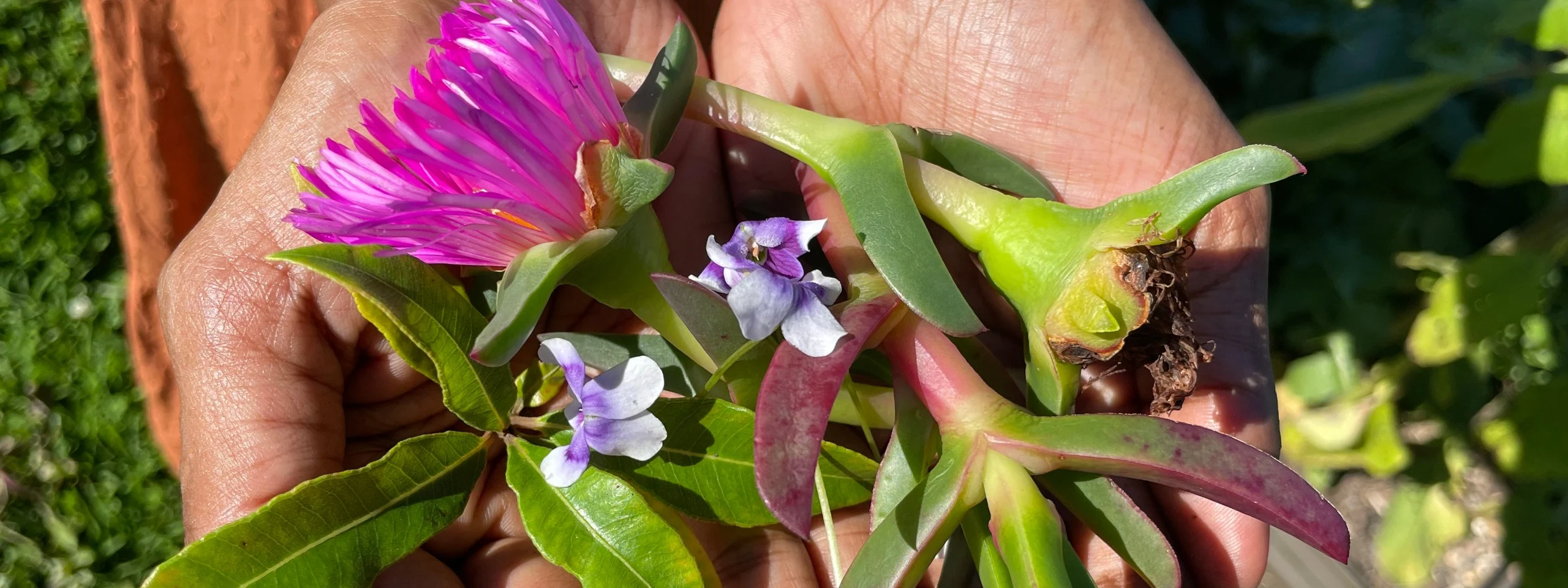 Local bush foods