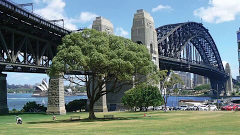 Bradfield Park. Credit: City of Sydney 