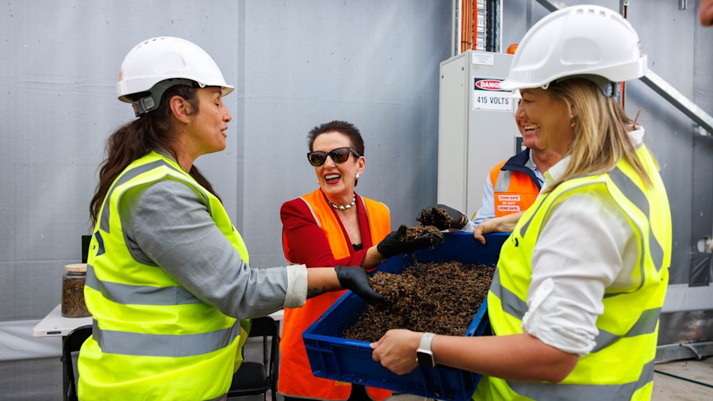 Three people in safety vests and helmets examine a tray of organic material in an industrial setting. One person wears a red jacket and sunglasses.