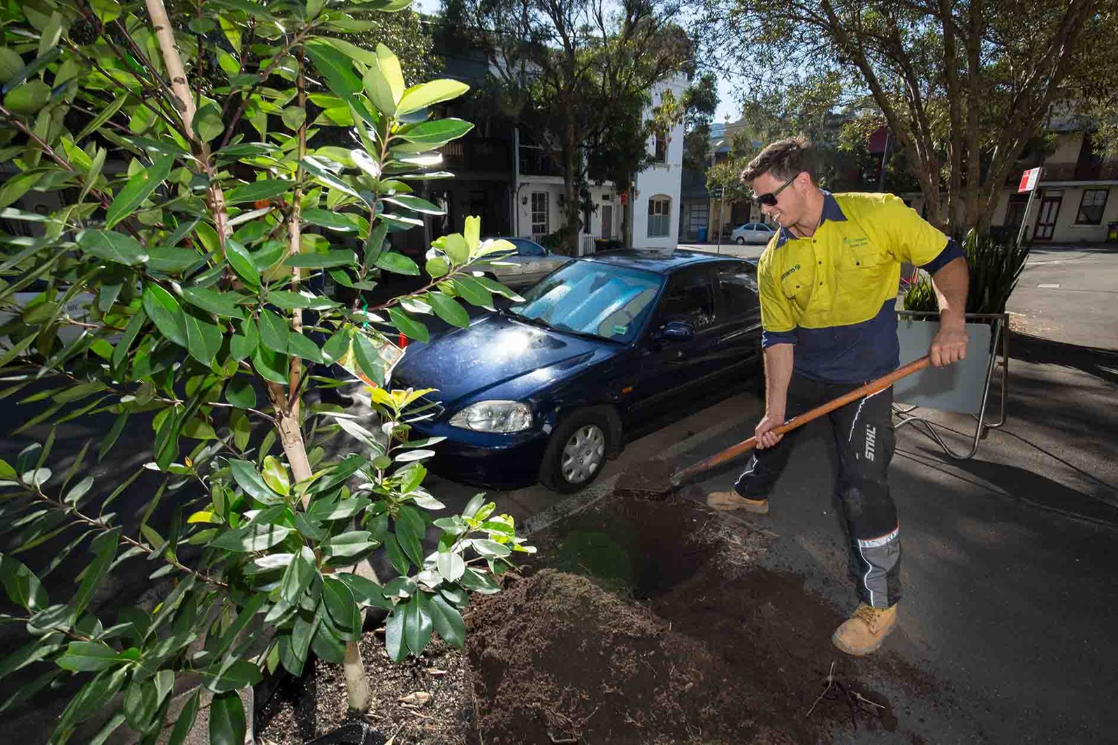 We're planting trees now with the future climate in mind. Photo: City of Sydney