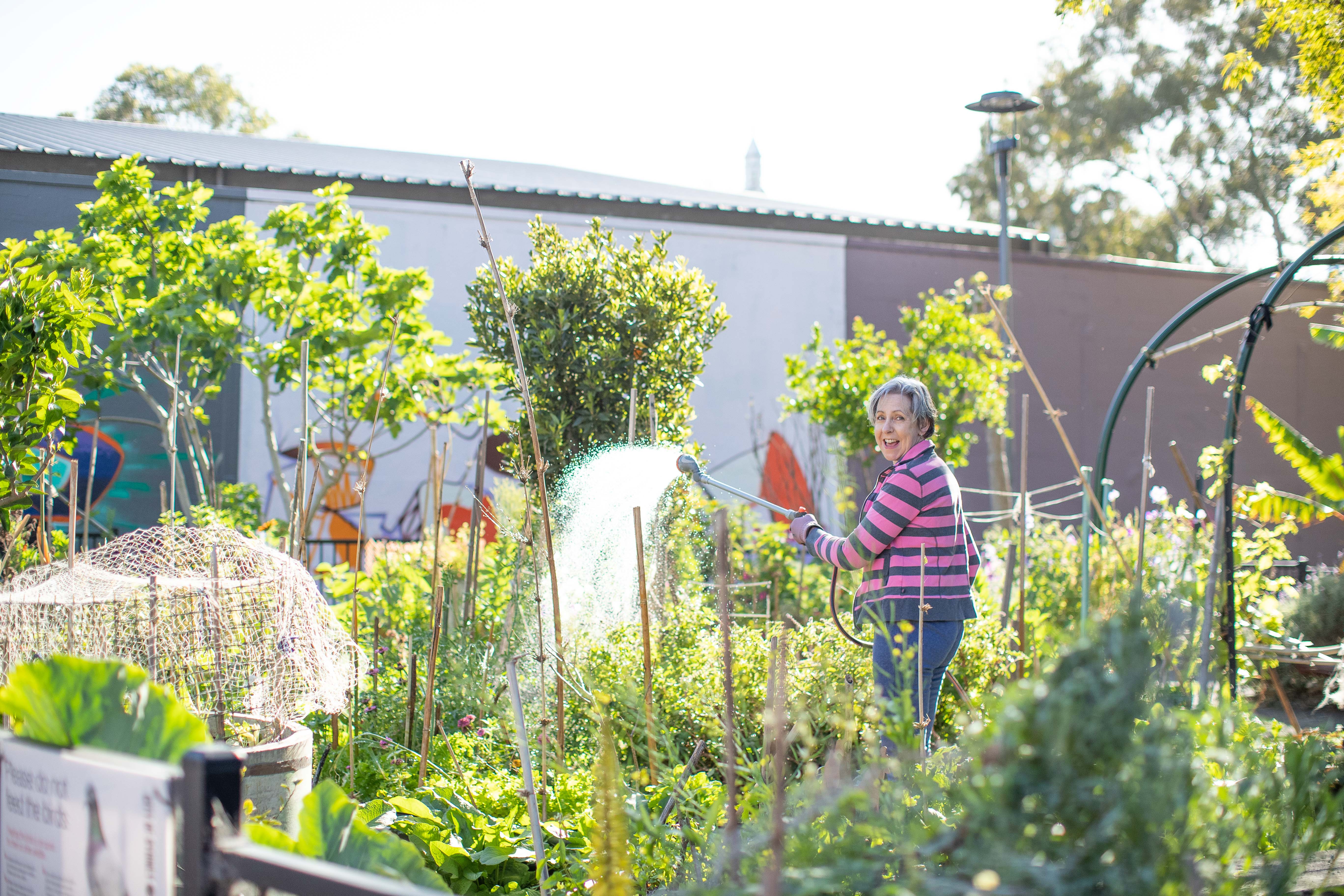 Maintaining the garden is more than just a hobby to Kathy Lindsay; it's a way to contribute to the local community. Credit: Mark Metcalfe