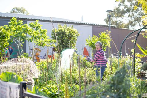 Maintaining the garden is more than just a hobby to Kathy Lindsay; it&#39;s a way to contribute to the local community. Credit: Mark Metcalfe