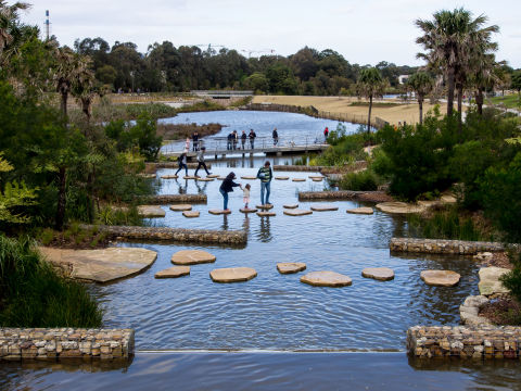 Sydney Park wetlands. Image: Paul Patterson, City of Sydney