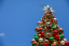 Martin Place Christmas Tree, 2022. Image: Katherine Griffiths, City of Sydney.